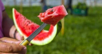 WATERMELON POISONING