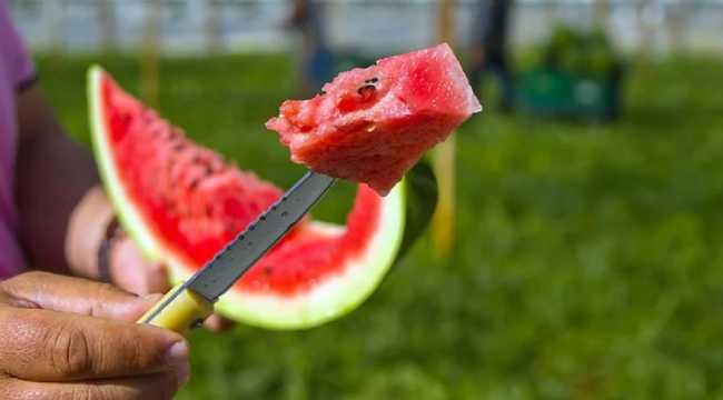 WATERMELON POISONING