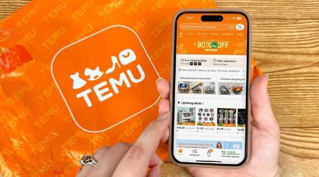 TEMU IMPORTS HEALTH ISSUES