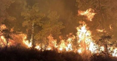 ALANYA AND MUGLA FOREST FIRE