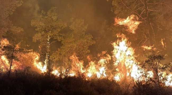 ALANYA AND MUGLA FOREST FIRE