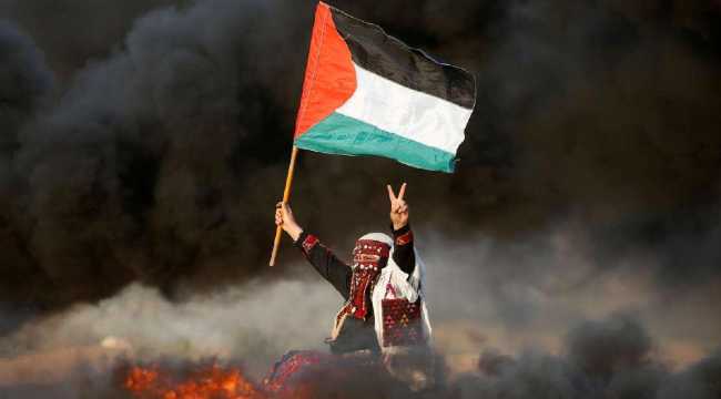 FREE PALESTINE