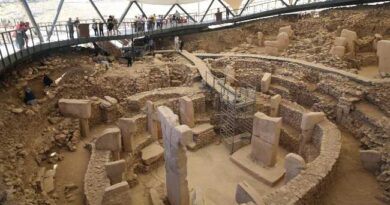 GOBEKLITEPE 111025