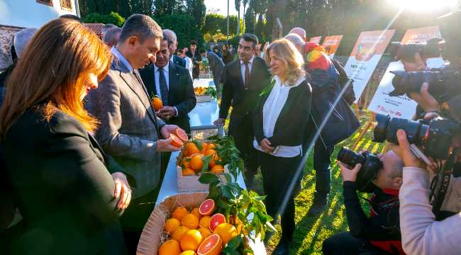 ANTALYA ORANGE 2