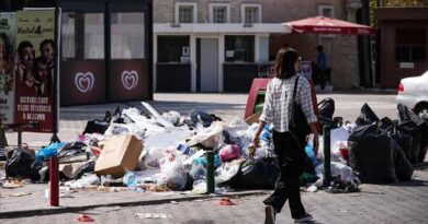 ENVIRONMENTAL POLLUTION FINES TURKEY