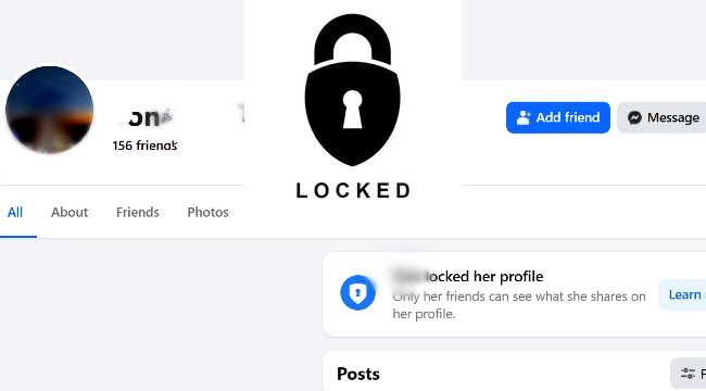 LOCKED PROFILE