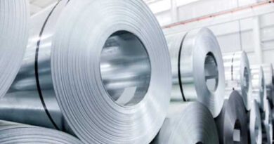 STEEL SECTOR COMPETITION IN TURKEY