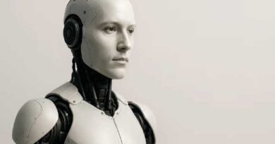 HUMANOID ROBOT