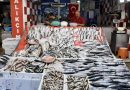 Anchovy Abundance on the First Fishing Trip of the Season