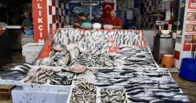 Anchovy Abundance on the First Fishing Trip of the Season