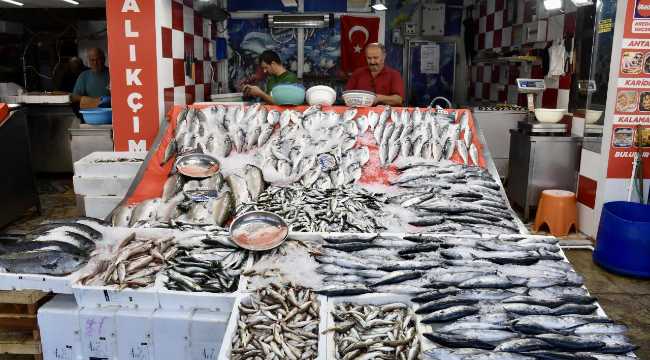 Anchovy Abundance on the First Fishing Trip of the Season