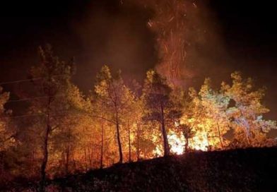 Forest Fires in Turkey: Latest Situation in Antalya, Mersin and Adana