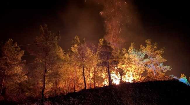 Forest Fires in Turkey: Latest Situation in Antalya, Mersin and Adana